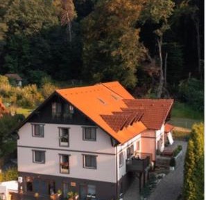 Villa with Garden View