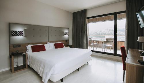 Double or Twin Room with Terrace
