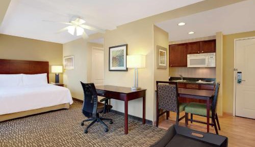 King Studio Suite - Non-Smoking