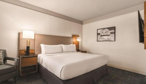 One-Bedroom King Suite - Mobility Accessible