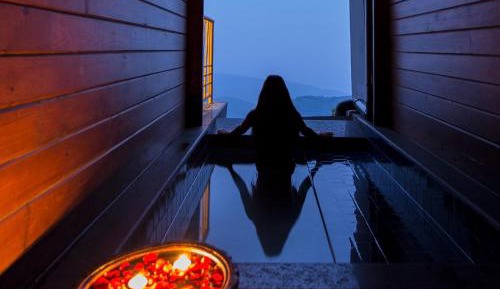 Log Huts with Private Plunge Pool