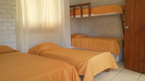 Large Twin Room