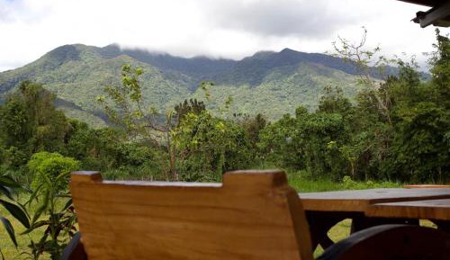 Cottage with Garden View