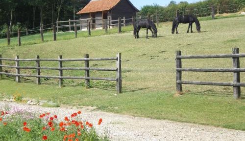 Queen Room with Garden View