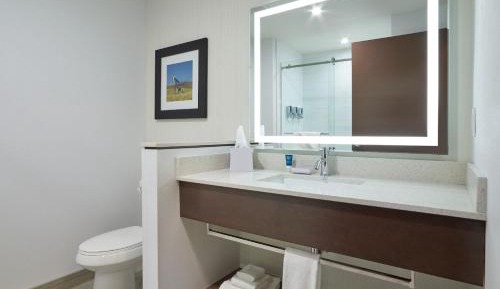 Guest room, 1 King, Sofa bed