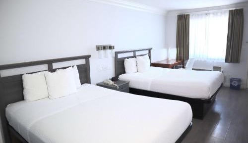 Deluxe Queen Room with Two Queen Beds - Non-Smoking