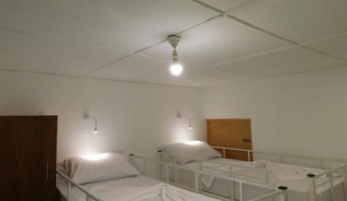 Bunk Bed in Mixed Dormitory Room