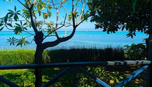 Bungalow - Beach Front