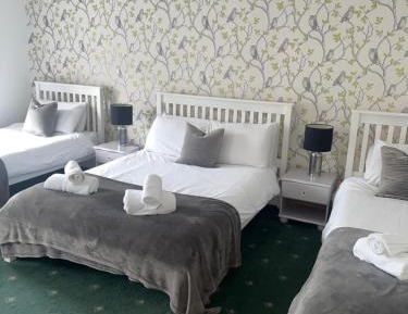 Basic Triple Room with Shared Bathroom