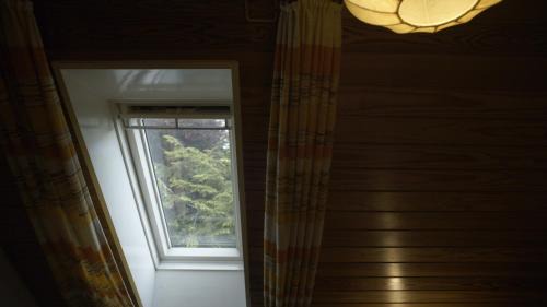 Single Room with Shared Shower and Toilet