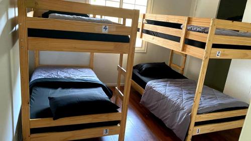 Bunk Bed in Mixed Dormitory Room