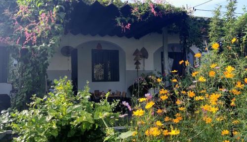 Double Room with Terrace