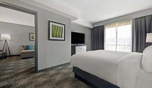 Suite, 1 King, Sofa bed