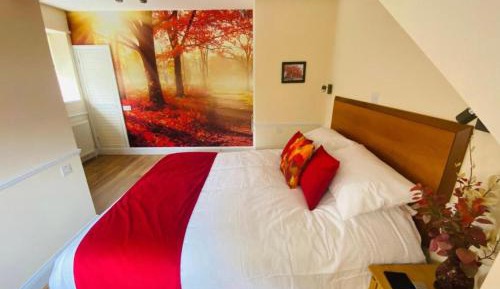 King Room with Garden View