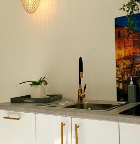 Executive Suite Nr. 8