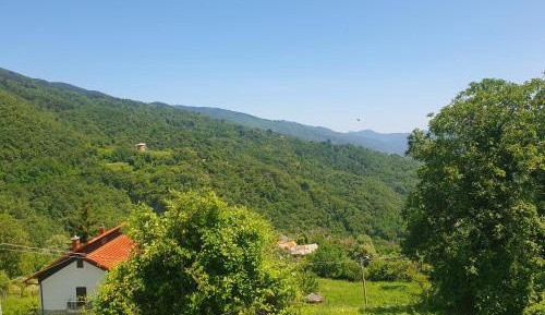 Superior One-Bedroom Apartment