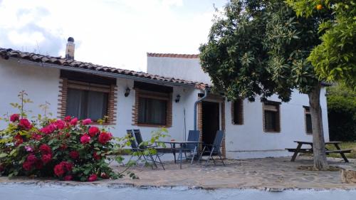 Three-Bedroom Townhouse