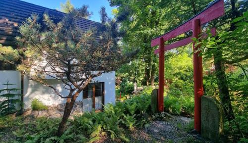 Studio with Garden View