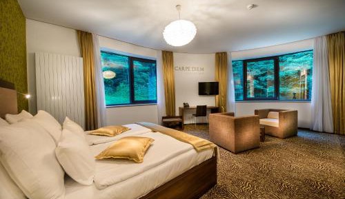 Suite with Hot Tub