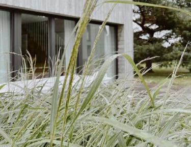 Two-Bedroom Bungalow