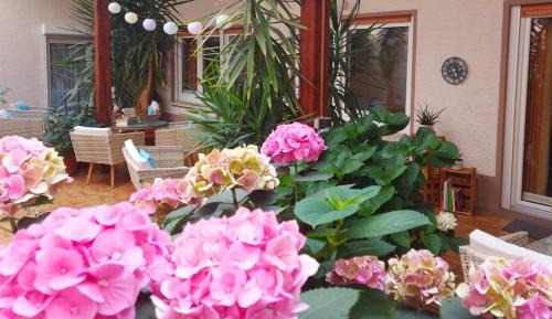 Double Room with Terrace