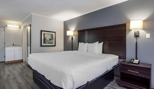 Efficiendy King Room - Non Smoking