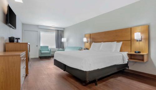 King Room with Sofa Bed - Non-Smoking