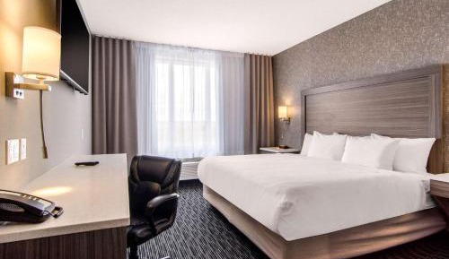 Executive King Suite