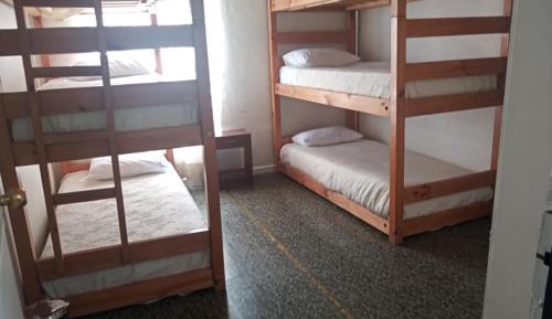 Bed in 6-Bed Dormitory Room