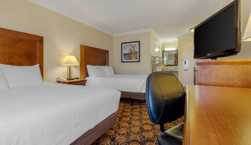 Double Room with Two Double Beds and Walk-In Shower - Mobility Accessible