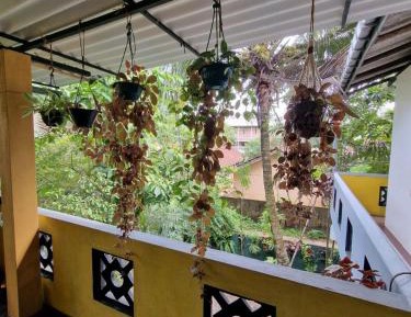 Deluxe Double Room (2 Adults + 1 Child)