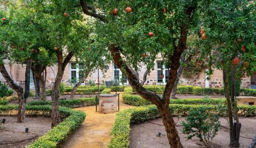 Standard Double Room (2 Adults + 1 Child)