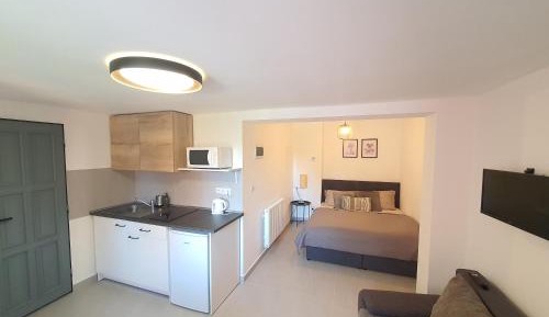 Apartment with Garden View