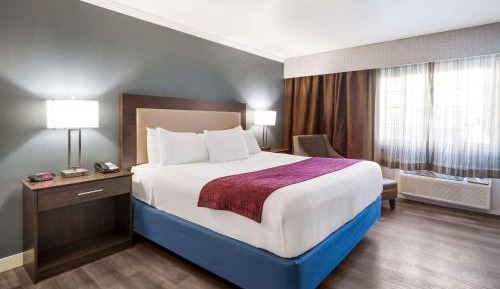 King Room with Roll-In Shower - Disability Access
