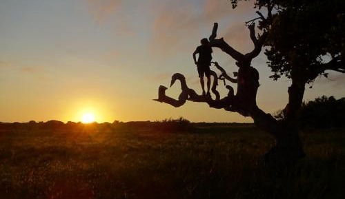 Double Room with Terrace