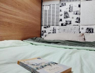 Single Bed in 6-Bed Dormitory Room