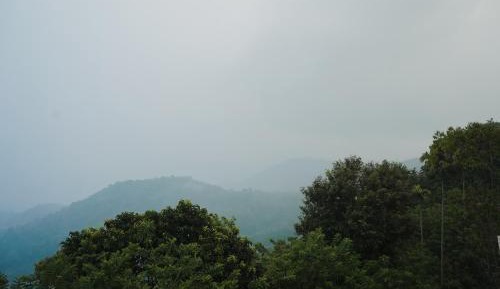 Majestic Ponmudi Dam View Room