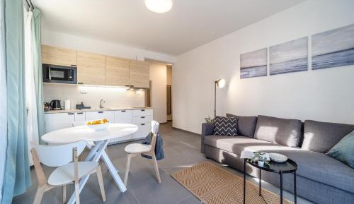Apartment with Terrace
