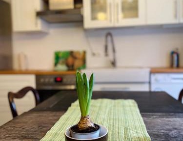 Apartment - Ground Floor