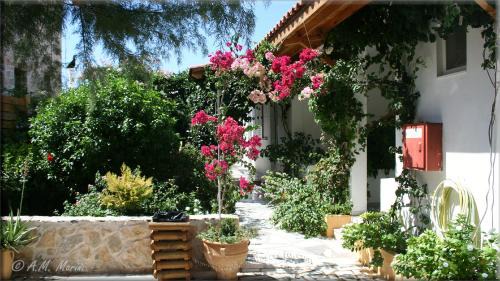 Standard Triple Studio