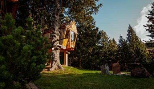 Tree House