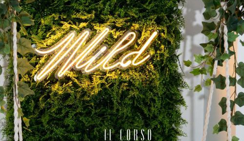 Queen Suite with Spa Bath