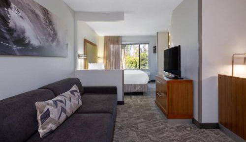 Studio, 1 King, Sofa bed
