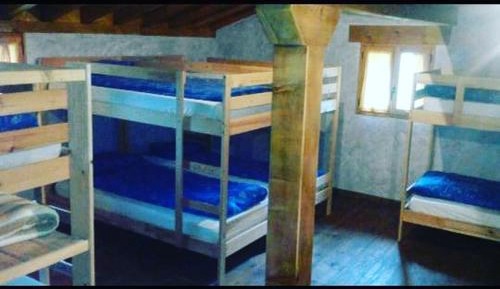 4-Bed Mixed Dormitory Room
