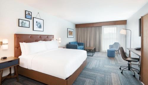 Traditional, Guest room, 1 King, Sofa bed