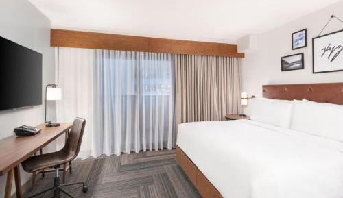Suite, 1 King, Sofa bed
