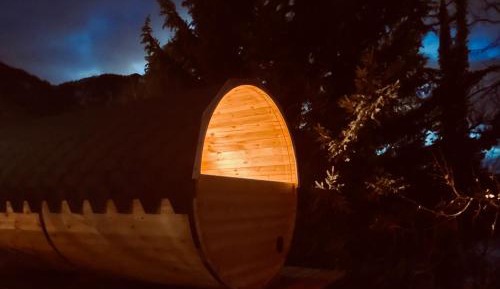 Two-Bedroom Apartment with Two Terraces