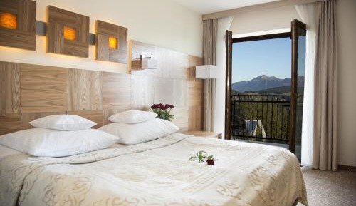 Double Room with Mountain View