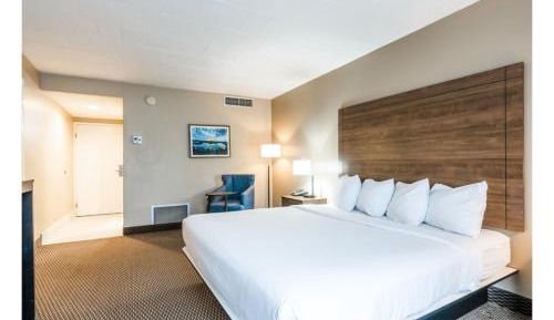 Standard King Room