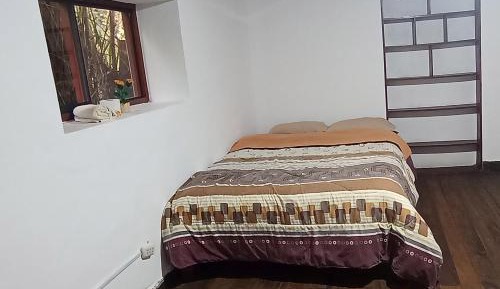 Mixed Dormitory Room